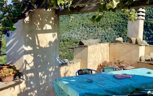 Montalto Ligure / AT 468