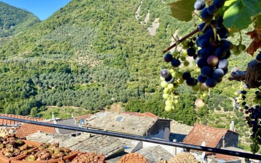 Montalto Ligure / AT 468