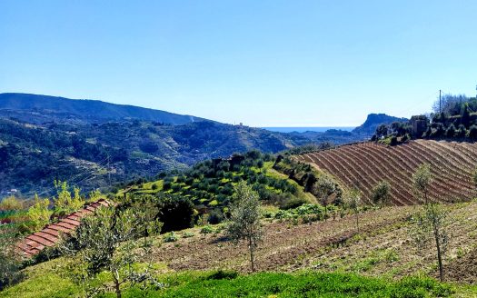 Camporosso / CA 909