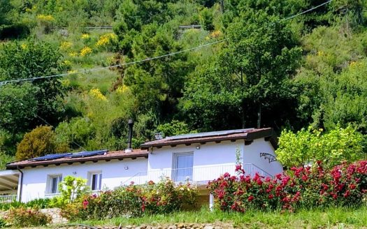 Camporosso / CA 909