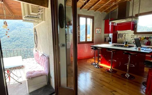 Apricale / AP 917