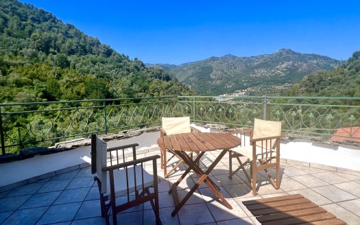 Camporosso-Trinità / CA 919