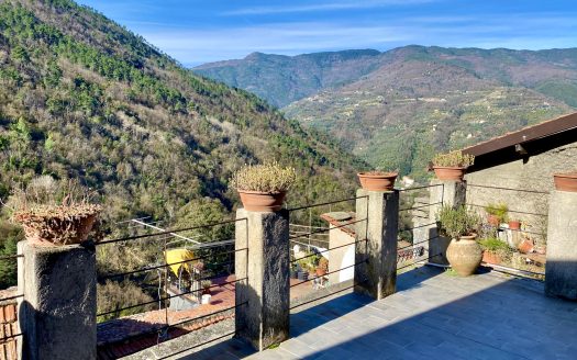 Castel Vittorio / CV 779