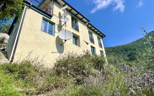 Castel Vittorio / CV 924
