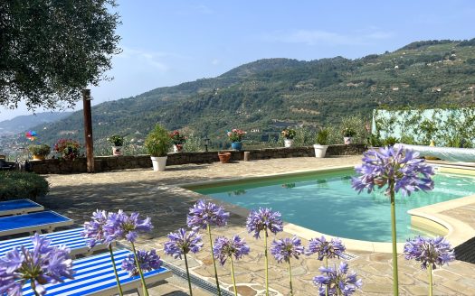 Dolceacqua / DA 923