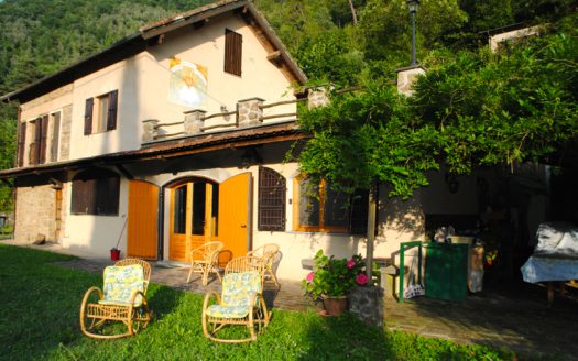 Pigna / PA 484