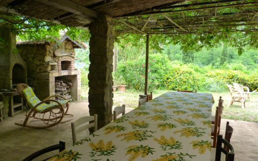 Pigna / PA 484