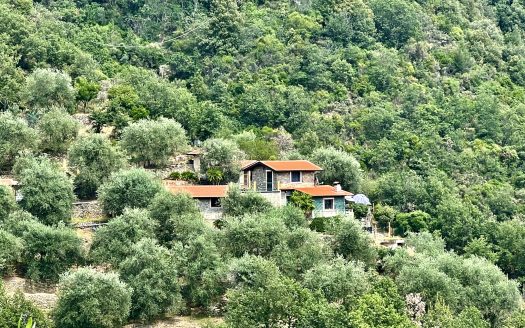Apricale / AP 915