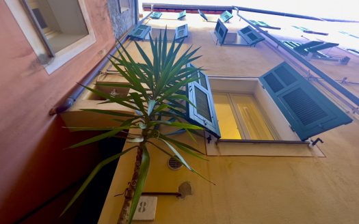 Vallebona / BO 937