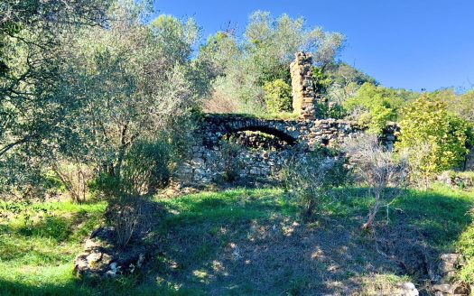 Dolceacqua / DA 932