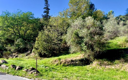 Dolceacqua / DA 932