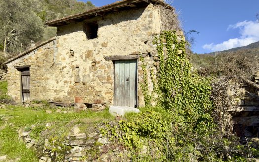 Apricale / AP 961