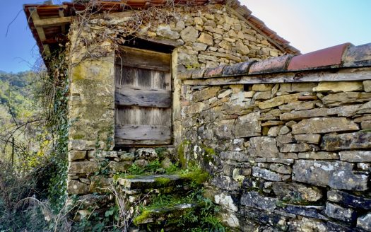 Apricale / AP 961
