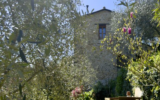Pieve di Teco / IM 962