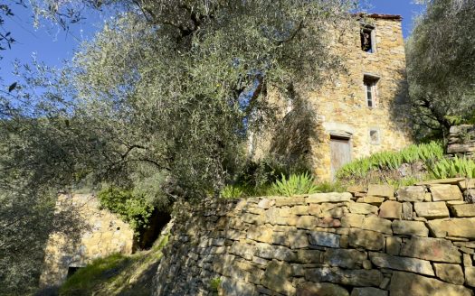 Dolceacqua / DA 959