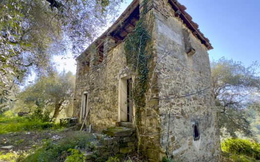 Dolceacqua / DA 959