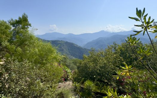 Dolceacqua / DA 979