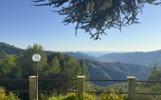 Dolceacqua / DA 988
