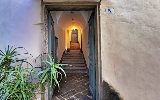 Imperia-Moltedo / IM 982