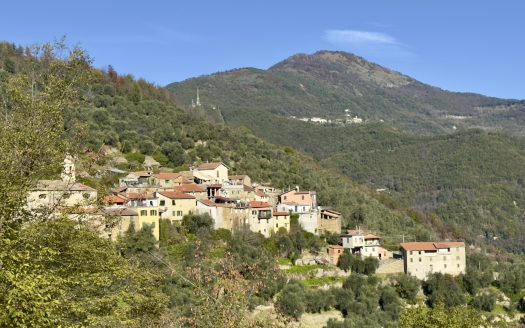 Pieve di Teco / IM 985